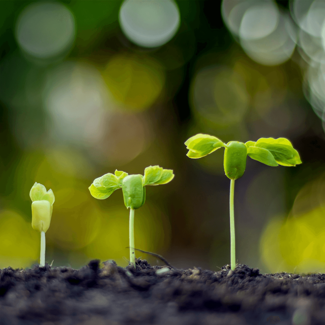 Continuing To Grow - Glory Worship Church